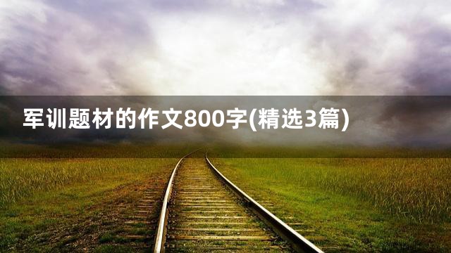 军训题材的作文800字(精选3篇)