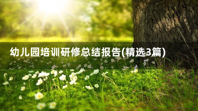 幼儿园培训研修总结报告(精选3篇)