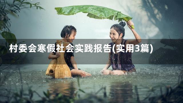 村委会寒假社会实践报告(实用3篇)