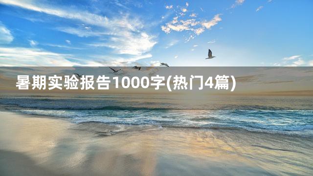 暑期实验报告1000字(热门4篇)