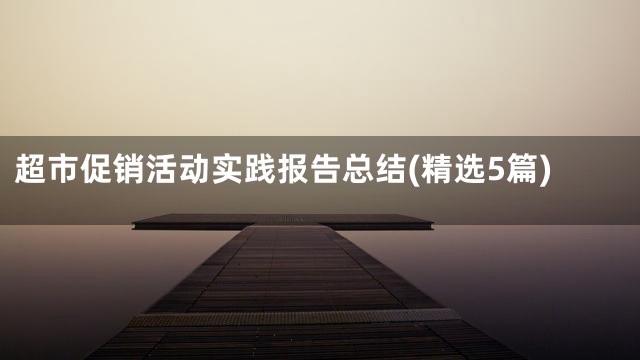 超市促销活动实践报告总结(精选5篇)