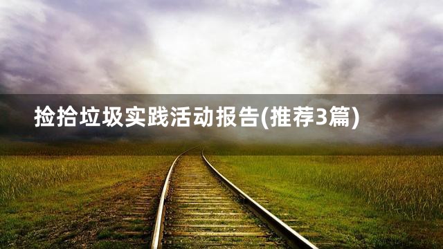 捡拾垃圾实践活动报告(推荐3篇)