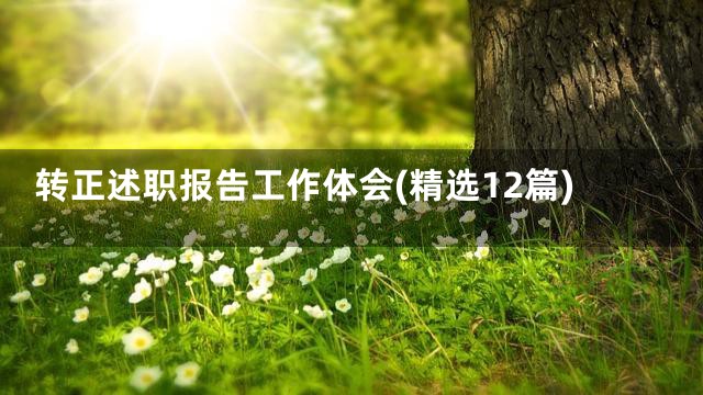 转正述职报告工作体会(精选12篇)