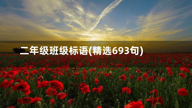 二年级班级标语(精选693句)