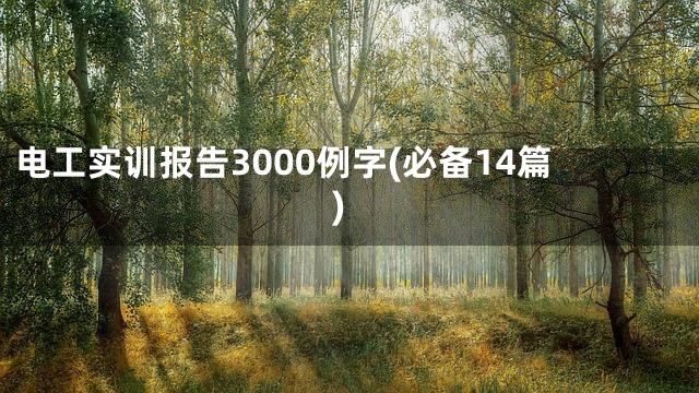 电工实训报告3000例字(必备14篇)