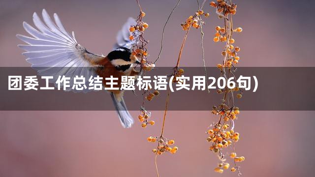 团委工作总结主题标语(实用206句)