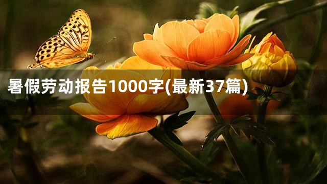 暑假劳动报告1000字(最新37篇)