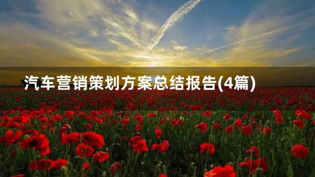 汽车营销策划方案总结报告(4篇)