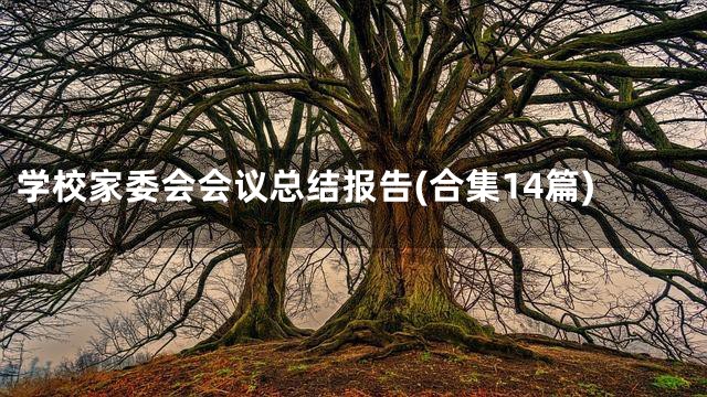 学校家委会会议总结报告(合集14篇)