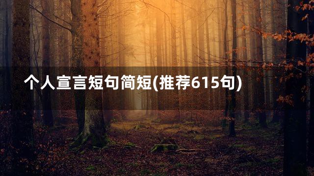 个人宣言短句简短(推荐615句)