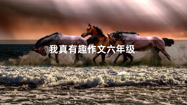 我真有趣作文六年级