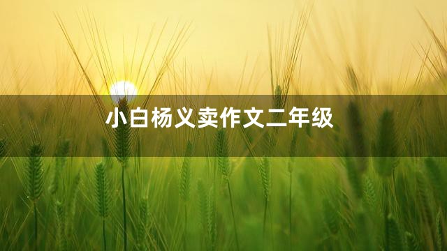 小白杨义卖作文二年级