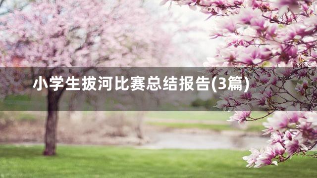 小学生拔河比赛总结报告(3篇)