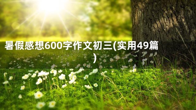 暑假感想600字作文初三(实用49篇)