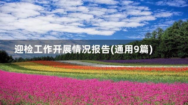 迎检工作开展情况报告(通用9篇)