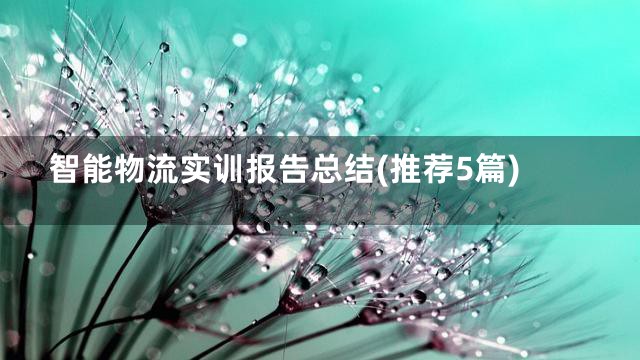 智能物流实训报告总结(推荐5篇)