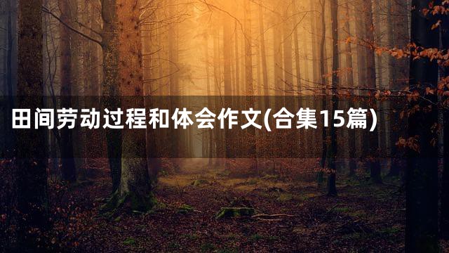 田间劳动过程和体会作文(合集15篇)