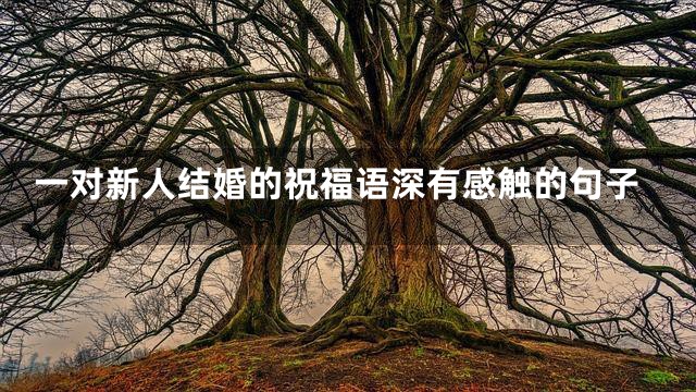 一对新人结婚的祝福语深有感触的句子