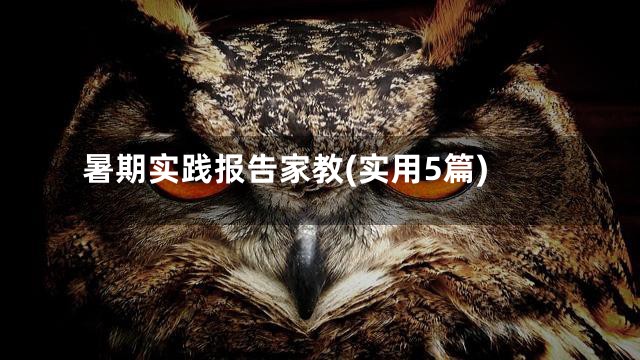 暑期实践报告家教(实用5篇)