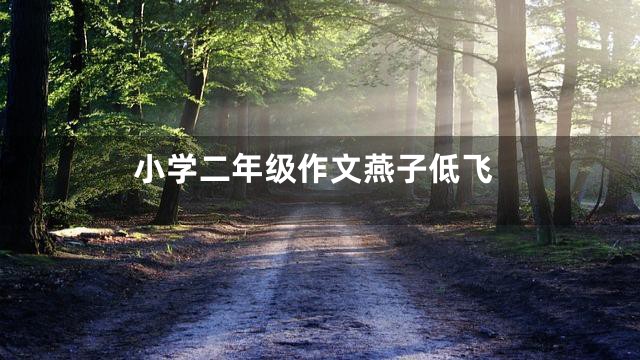 小学二年级作文燕子低飞