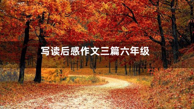 写读后感作文三篇六年级