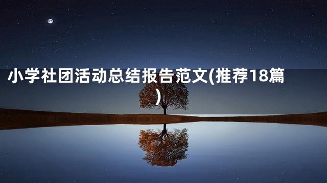 小学社团活动总结报告范文(推荐18篇)