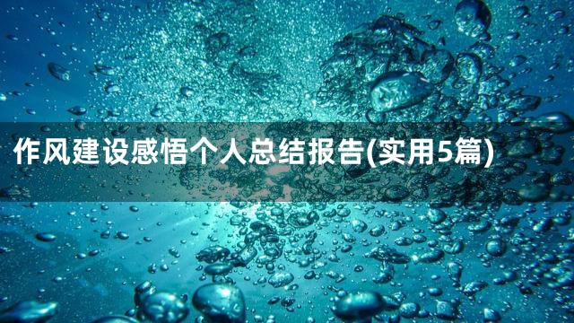 作风建设感悟个人总结报告(实用5篇)