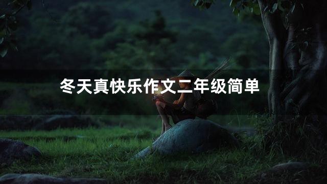 冬天真快乐作文二年级简单