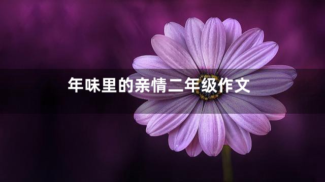 年味里的亲情二年级作文
