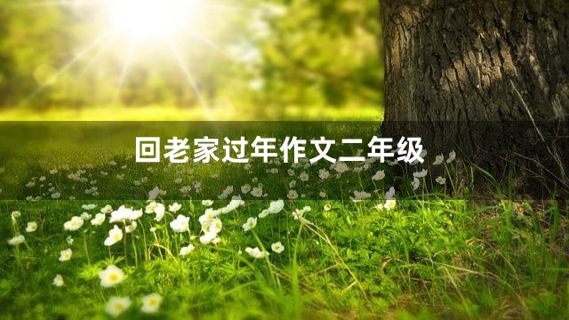 回老家过年作文二年级