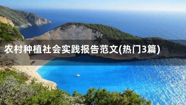 农村种植社会实践报告范文(热门3篇)