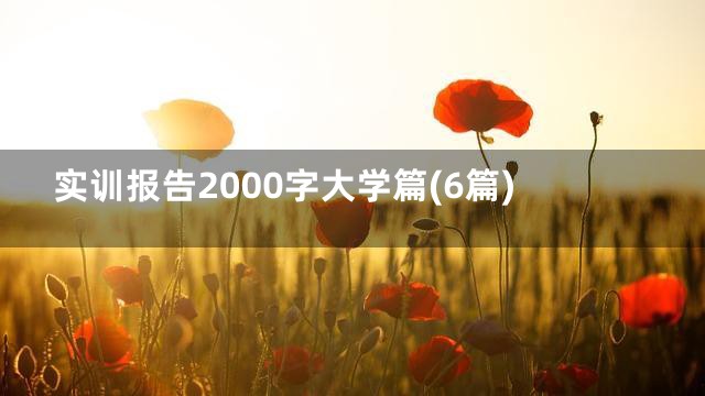 实训报告2000字大学篇(6篇)