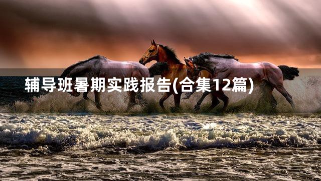 辅导班暑期实践报告(合集12篇)