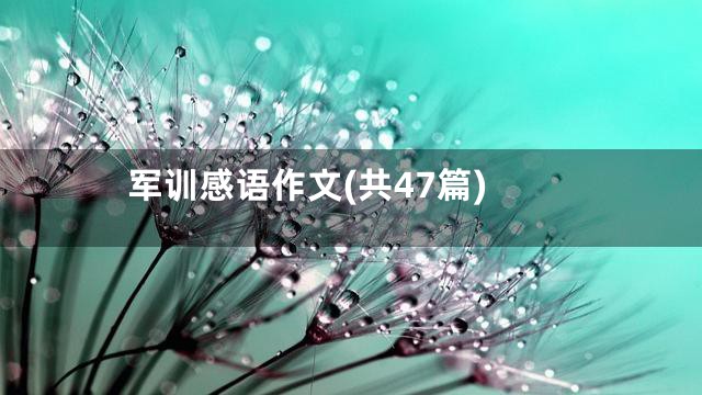军训感语作文(共47篇)