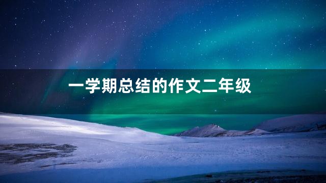 一学期总结的作文二年级