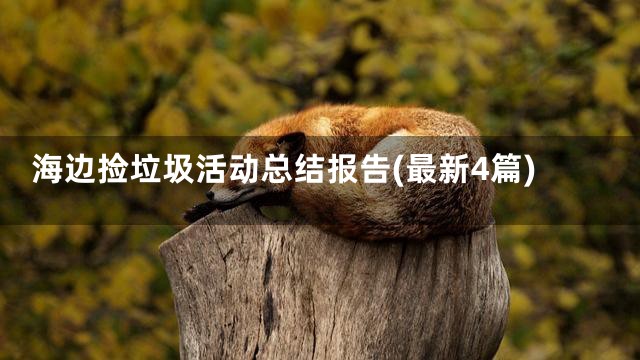 海边捡垃圾活动总结报告(最新4篇)