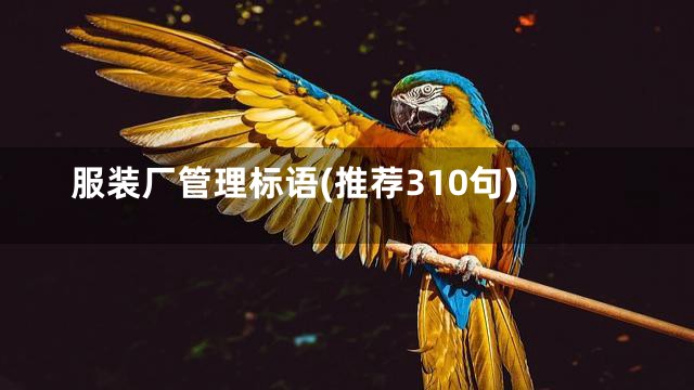 服装厂管理标语(推荐310句)
