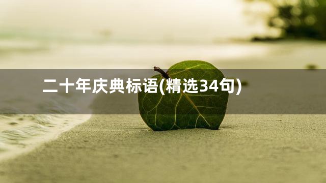 二十年庆典标语(精选34句)