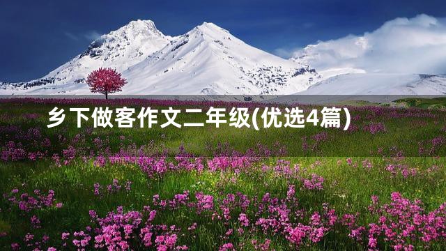 乡下做客作文二年级(优选4篇)