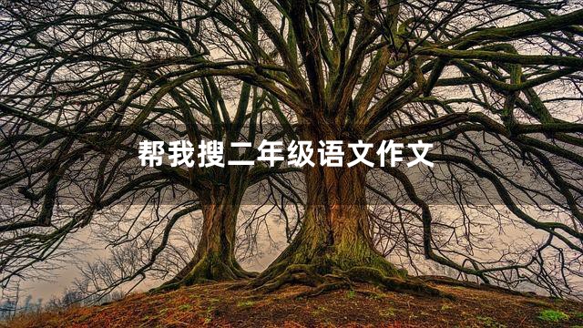 帮我搜二年级语文作文