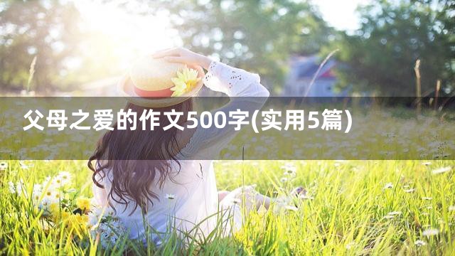 父母之爱的作文500字(实用5篇)