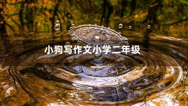 小狗写作文小学二年级