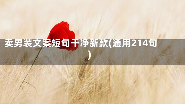 卖男装文案短句干净新款(通用214句)