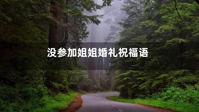 没参加姐姐婚礼祝福语