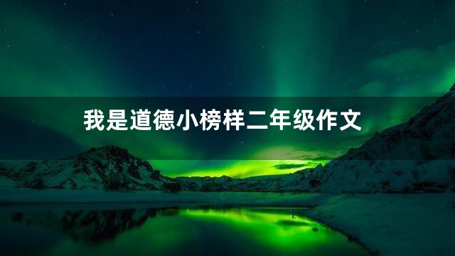 我是道德小榜样二年级作文