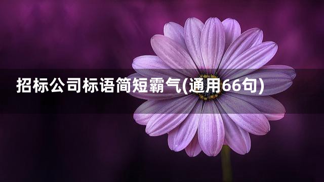 招标公司标语简短霸气(通用66句)