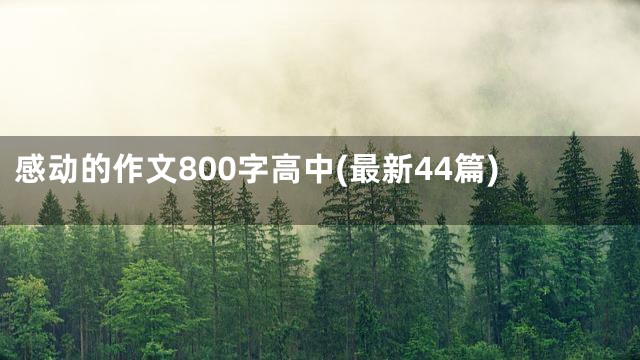 感动的作文800字高中(最新44篇)