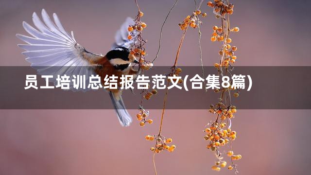 员工培训总结报告范文(合集8篇)