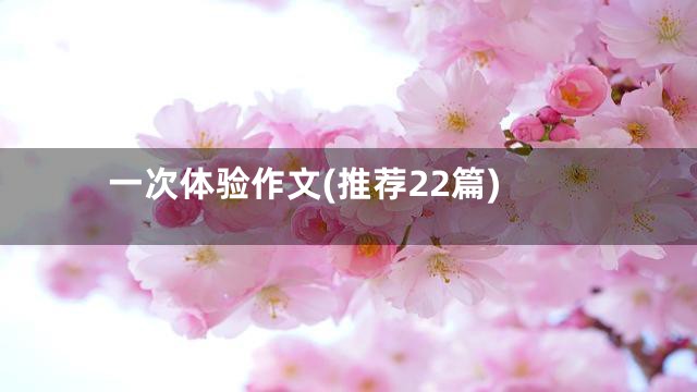 一次体验作文(推荐22篇)