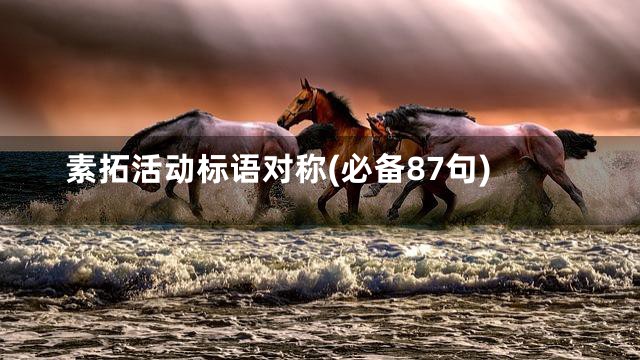 素拓活动标语对称(必备87句)